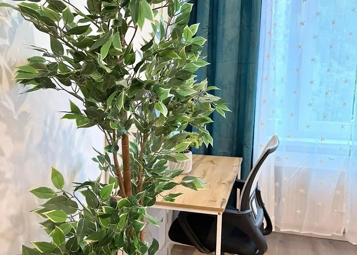 Big 7rms Loft, 1alocation *